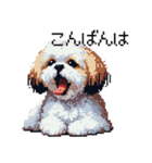 ドット絵 シーズー 日常会話 40種（個別スタンプ：38）