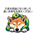 毎年使える あけおめ 柴犬 様々などうぶつ（個別スタンプ：6）