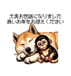 毎年使える あけおめ 柴犬 様々などうぶつ（個別スタンプ：11）