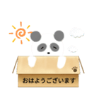 箱入りぱんだくん（個別スタンプ：1）