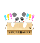 箱入りぱんだくん（個別スタンプ：5）