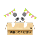 箱入りぱんだくん（個別スタンプ：10）