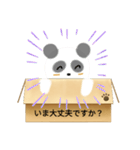 箱入りぱんだくん（個別スタンプ：35）