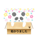 箱入りぱんだくん（個別スタンプ：37）