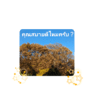 タイ人の「こんにちは」や「ありがとう」（個別スタンプ：23）