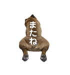 使えるボブ3（個別スタンプ：10）