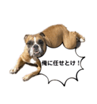使えるボブ3（個別スタンプ：26）