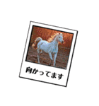 白馬に乗った王子様。ひとみるい。（個別スタンプ：15）