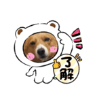 スタンプ動物02（個別スタンプ：8）