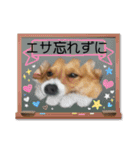 スタンプ動物02（個別スタンプ：16）