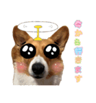 スタンプ動物02（個別スタンプ：17）