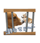 スタンプ動物02（個別スタンプ：23）