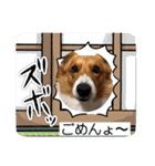 スタンプ動物02（個別スタンプ：25）