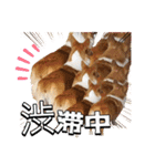 スタンプ動物02（個別スタンプ：28）