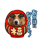 スタンプ動物02（個別スタンプ：37）