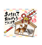 スタンプ動物02（個別スタンプ：38）