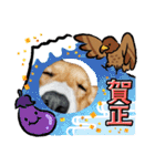 スタンプ動物02（個別スタンプ：39）