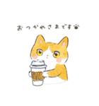 yopicakesのねこ（個別スタンプ：4）