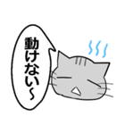 ひと言伝えるふきだしネコ 26（個別スタンプ：16）