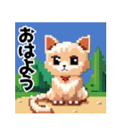 ドット絵風な猫の可愛いスタンプ（個別スタンプ：1）