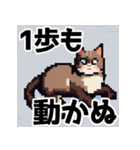 ドット絵風な猫の可愛いスタンプ（個別スタンプ：23）