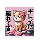 ドット絵風な猫の可愛いスタンプ（個別スタンプ：24）