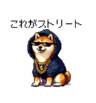 ドット絵 ラッパーな柴犬 シバイヌ（個別スタンプ：2）