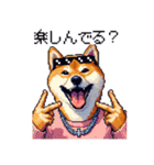 ドット絵 ラッパーな柴犬 シバイヌ（個別スタンプ：12）