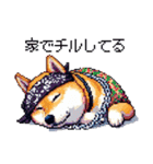 ドット絵 ラッパーな柴犬 シバイヌ（個別スタンプ：16）