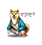 ドット絵 ラッパーな柴犬 シバイヌ（個別スタンプ：21）