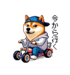 ドット絵 ラッパーな柴犬 シバイヌ（個別スタンプ：25）