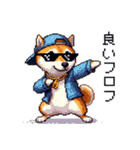 ドット絵 ラッパーな柴犬 シバイヌ（個別スタンプ：37）