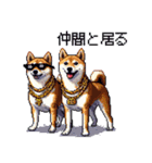 ドット絵 ラッパーな柴犬 シバイヌ（個別スタンプ：38）