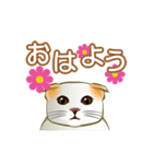 たれ耳子猫（個別スタンプ：1）