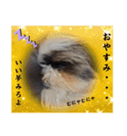 我が家のシーズー犬もじゃ.25（個別スタンプ：4）