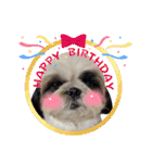我が家のシーズー犬もじゃ.25（個別スタンプ：9）