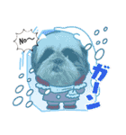 我が家のシーズー犬もじゃ.25（個別スタンプ：26）