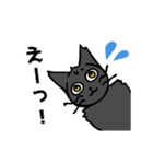 鍵しっぽの黒猫スタンプ（個別スタンプ：19）