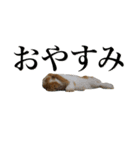 メルチャンスタンプ（個別スタンプ：2）