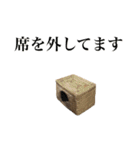 メルチャンスタンプ（個別スタンプ：19）