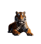 とら tiger（個別スタンプ：8）