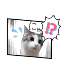 MADDER's すたんぷ ③（個別スタンプ：1）