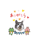 MADDER's すたんぷ ③（個別スタンプ：3）