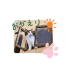 MADDER's すたんぷ ③（個別スタンプ：5）