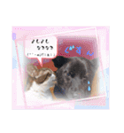 MADDER's すたんぷ ③（個別スタンプ：16）