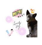 MADDER's すたんぷ ③（個別スタンプ：17）