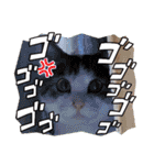 MADDER's すたんぷ ③（個別スタンプ：20）