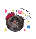 MADDER's すたんぷ ③（個別スタンプ：21）