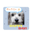 MADDER's すたんぷ ③（個別スタンプ：24）