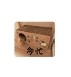 きぬ #4（個別スタンプ：8）